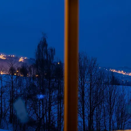 Wierch Glodowski 25a Bukowina Chalet